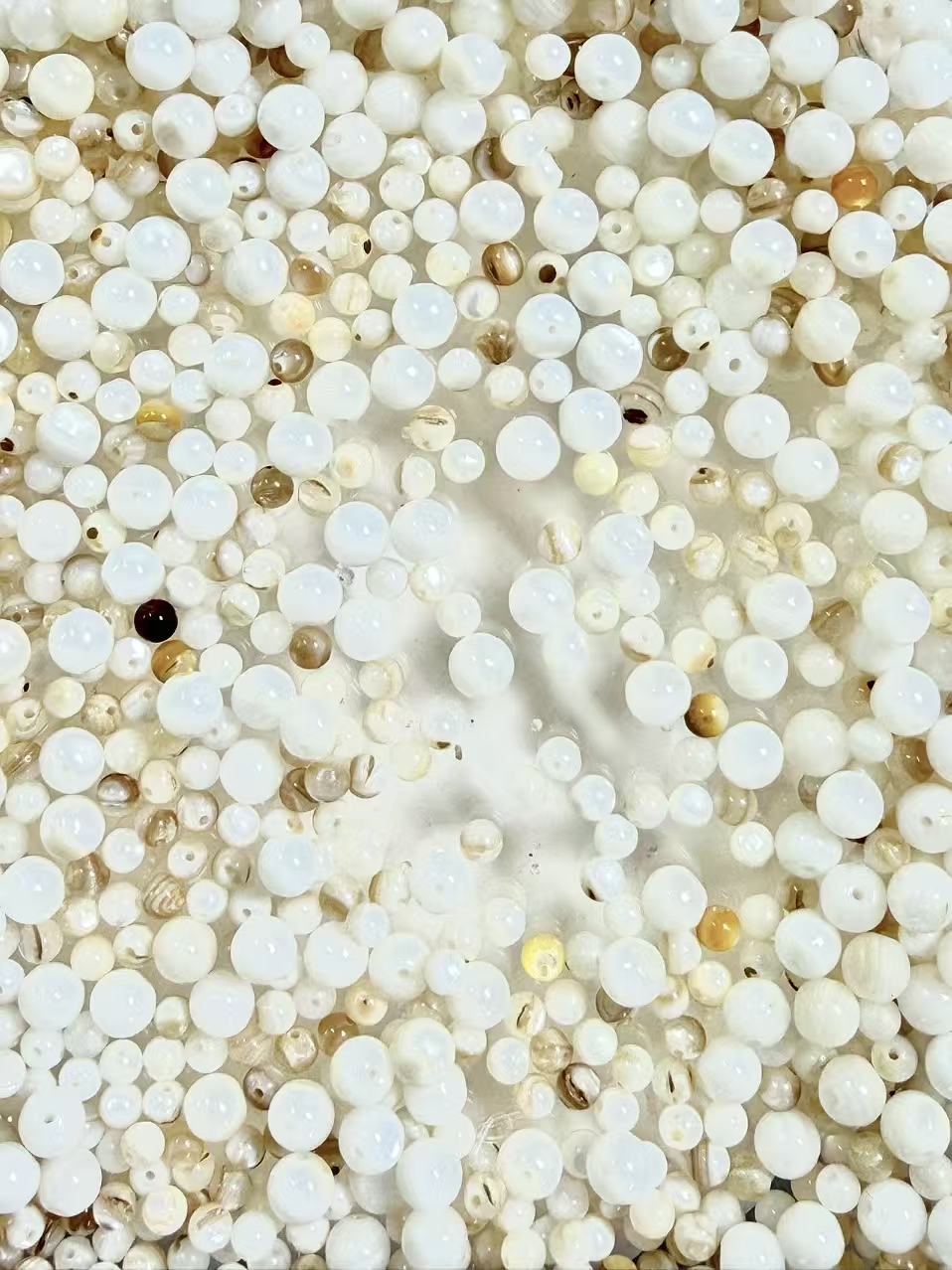 053 Petite Coquillage